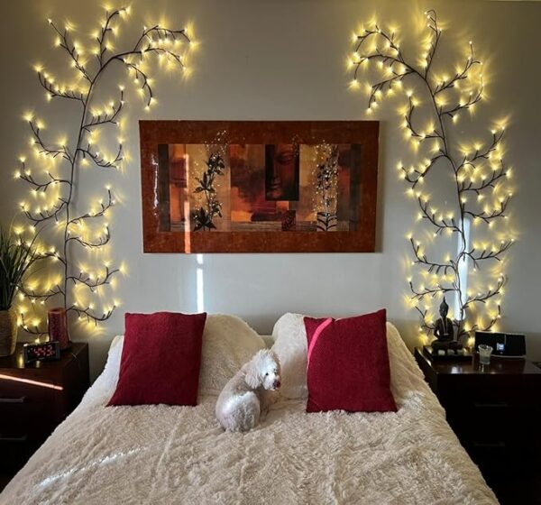 Enchanted Willow Vine Lights with Remote